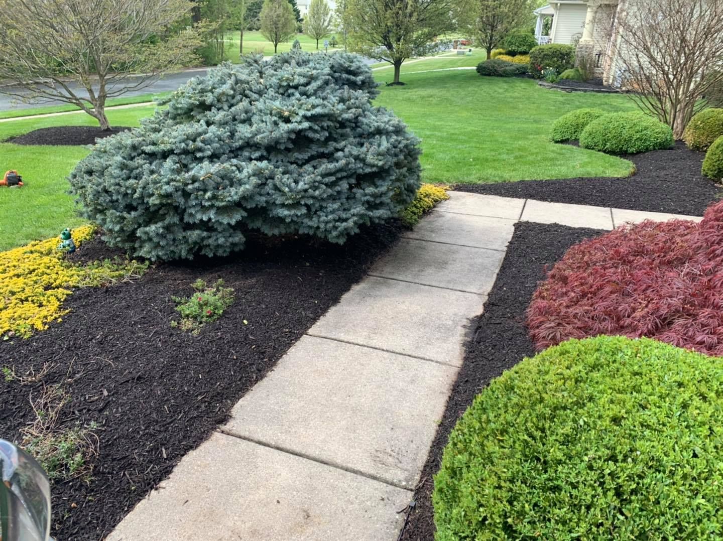 Curved garden walkway bordered by green shrubs, red foliage, and dark mulch under trees