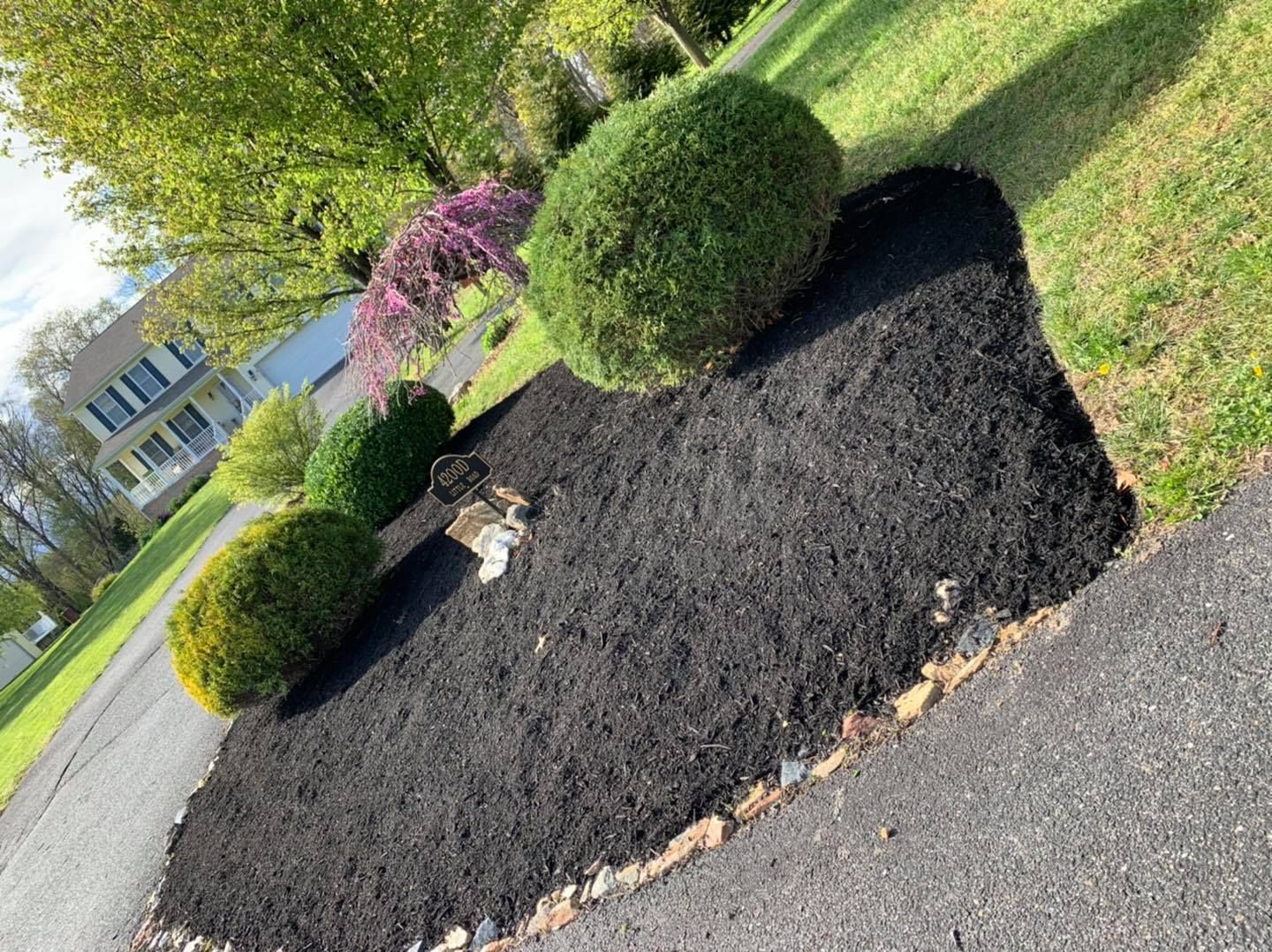Landscaped garden bed with black mulch, trimmed shrubs, and a small stone border beside a sidewalk.