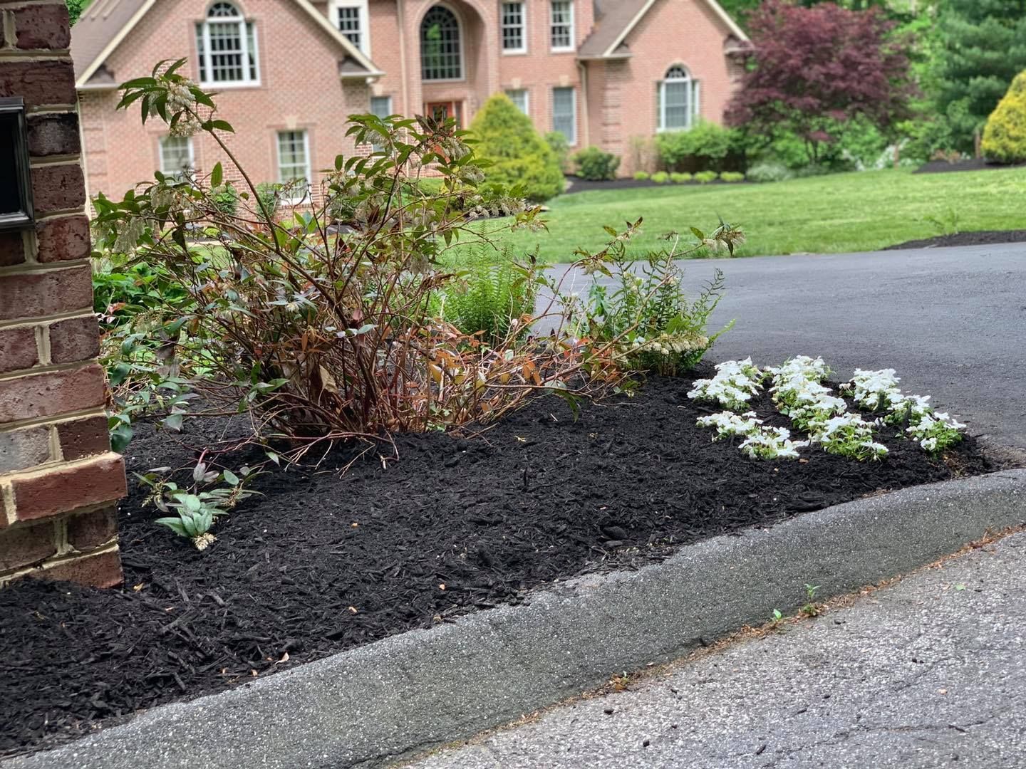 Mulched flower bed by a brick curb with shrubs and white flowers beside a driveway and house.