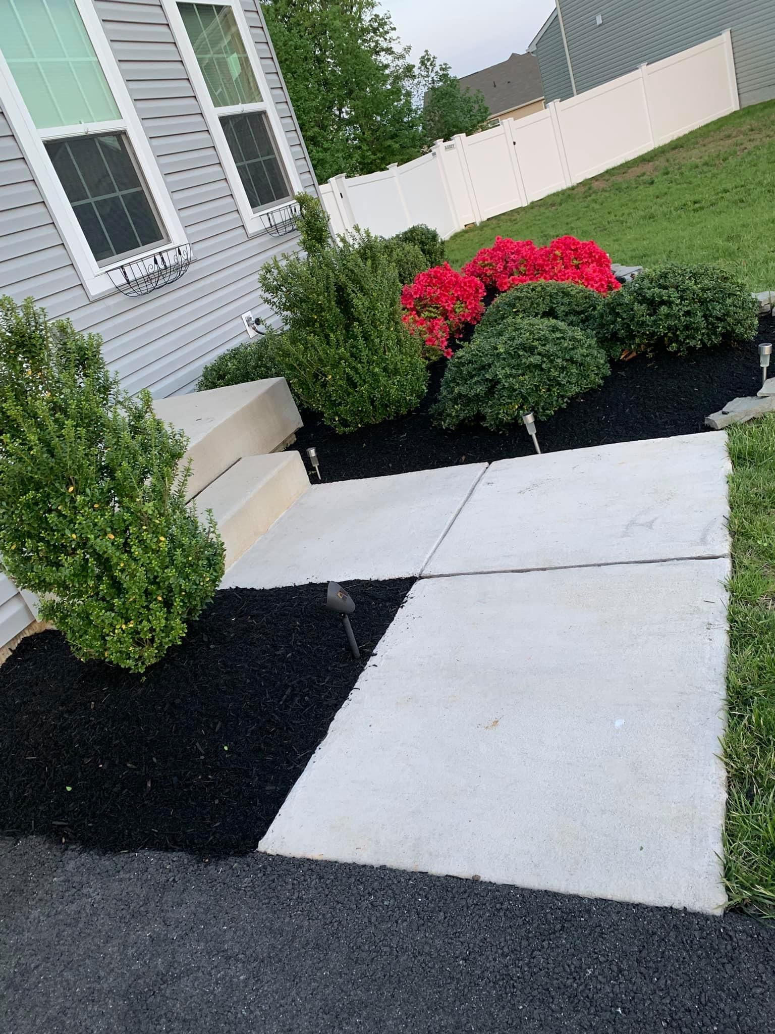 Front walkway with concrete pavers, black mulch beds, and red flowering shrubs beside a house
