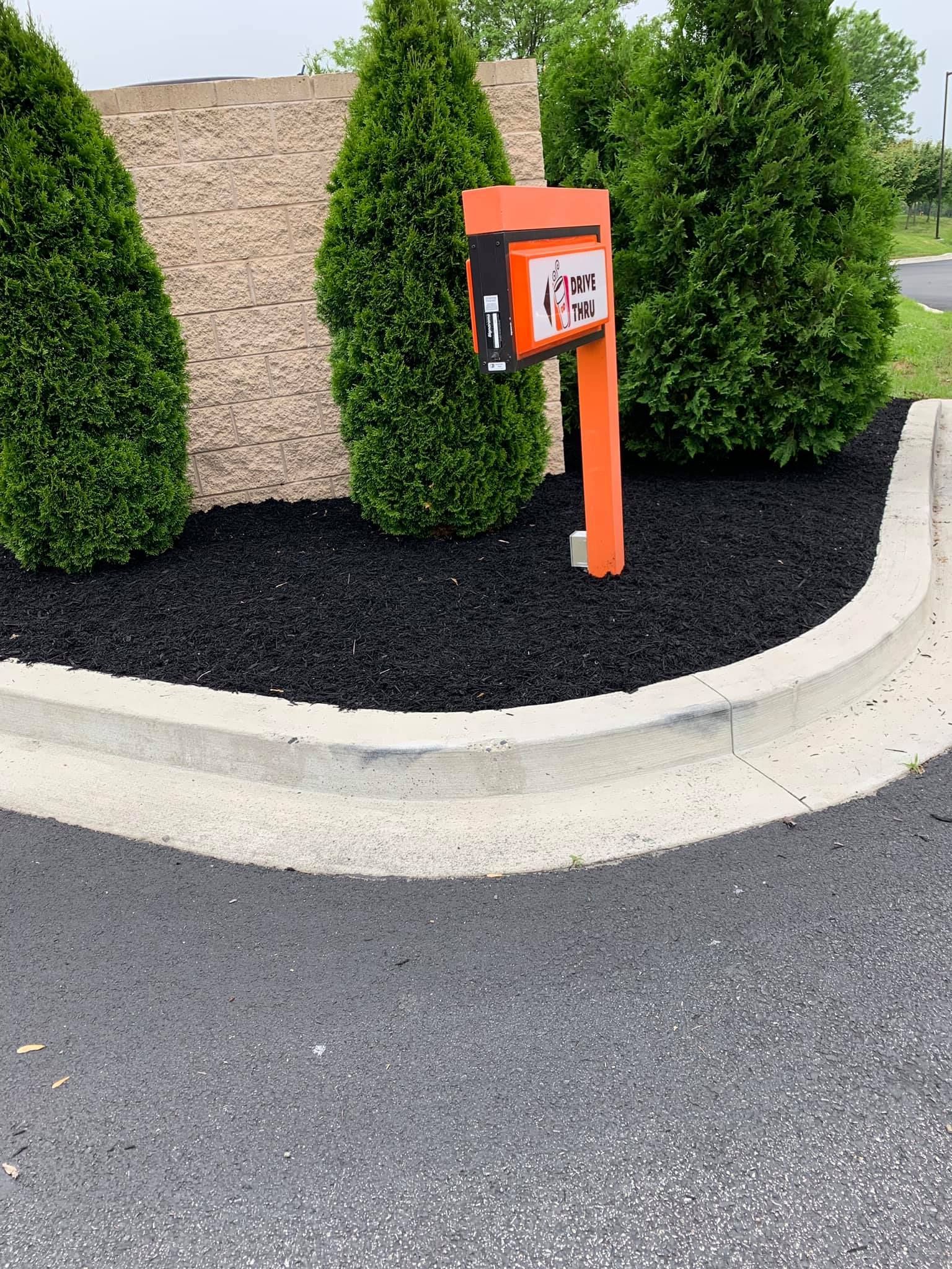 Orange mailbox beside trimmed green shrubs on a curb with black mulch.