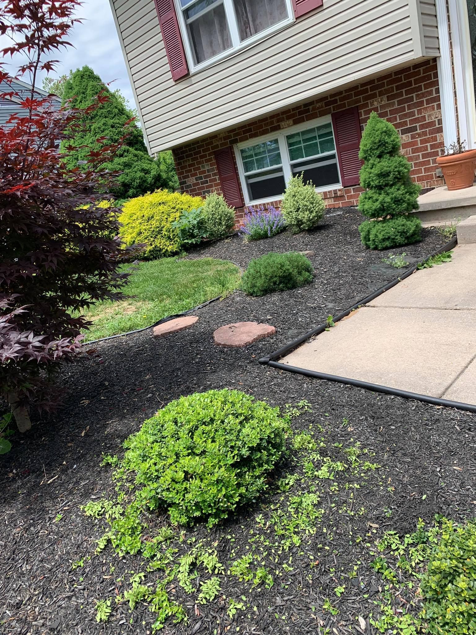 Front yard landscaping with trimmed shrubs, mulch, stepping stones, and a house exterior.