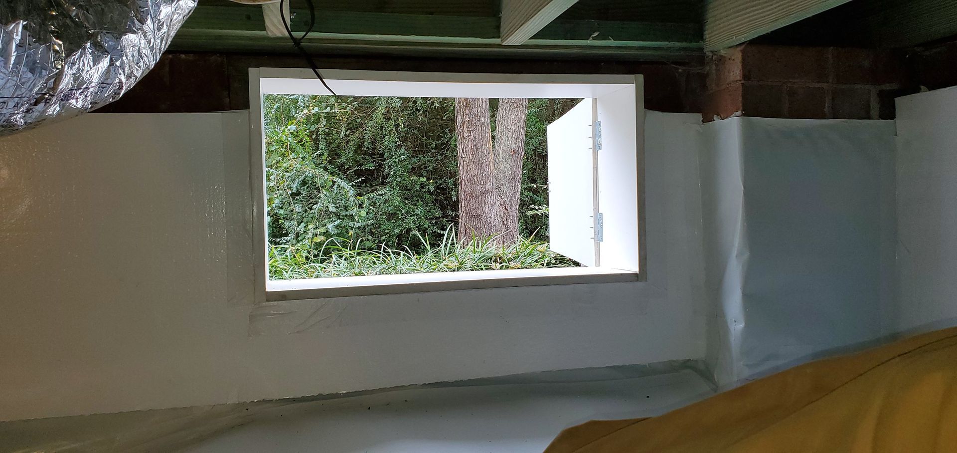 A window in a basement with a view of a forest.