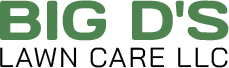 Big D's Lawn Care LLC | Logo