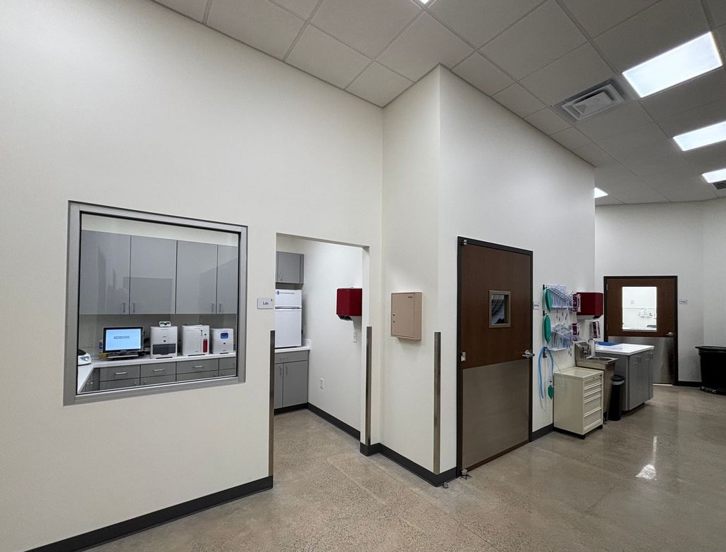 A clinical hallway with a glass window into a supply room, a doorway, and a brown door with medical equipment nearby.