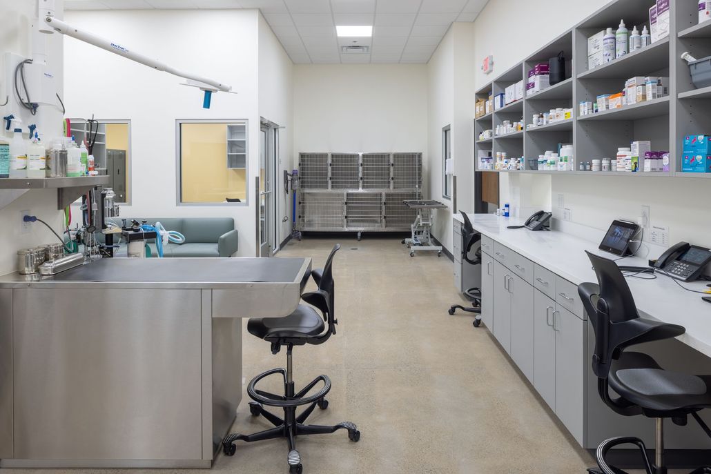 A veterinary clinic treatment room with metal exam tables, stainless steel kennels, cabinets, and pharmacy shelves.