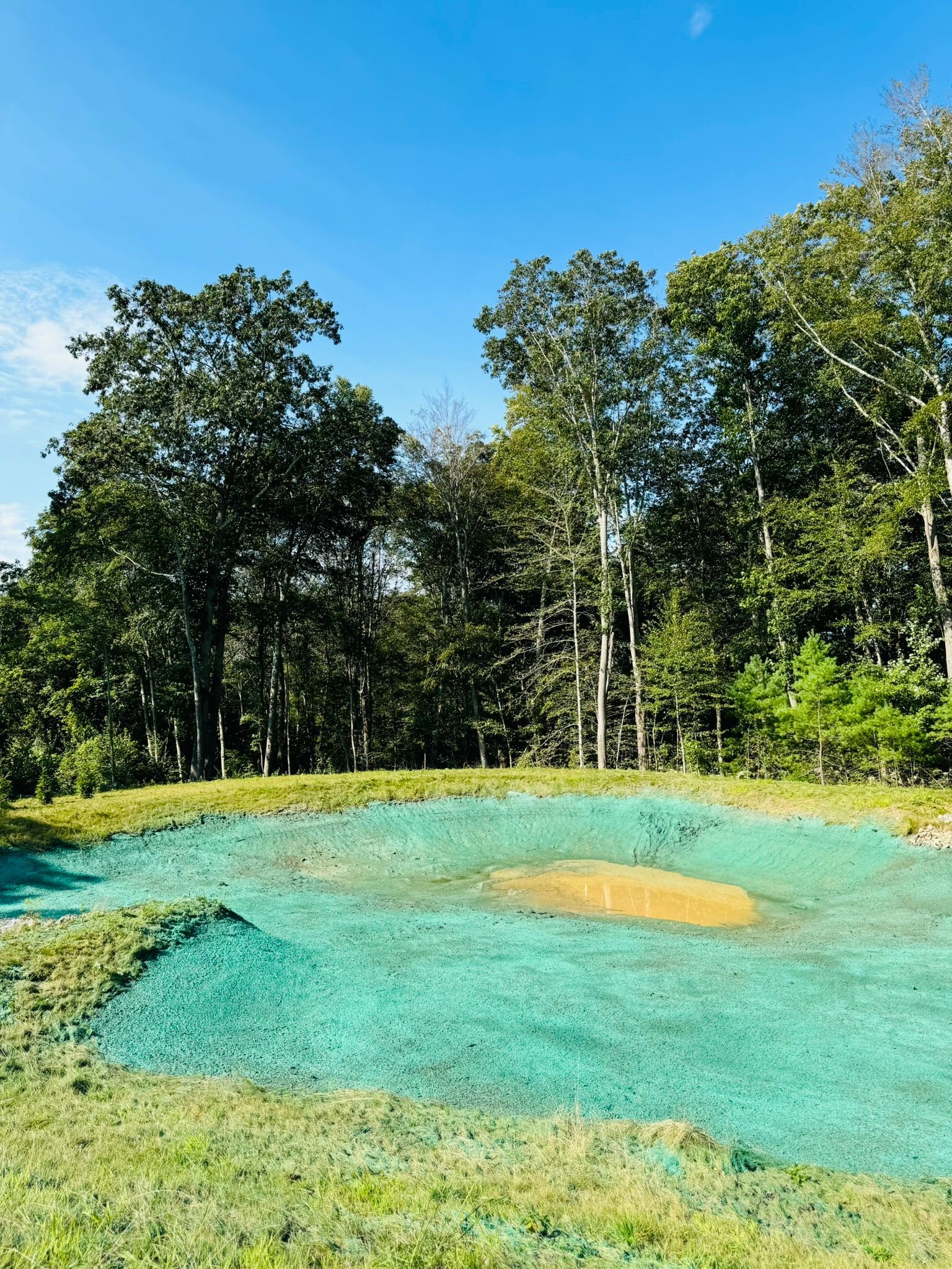 Green-treated area, possibly for grass, with trees in the background under a blue sky.