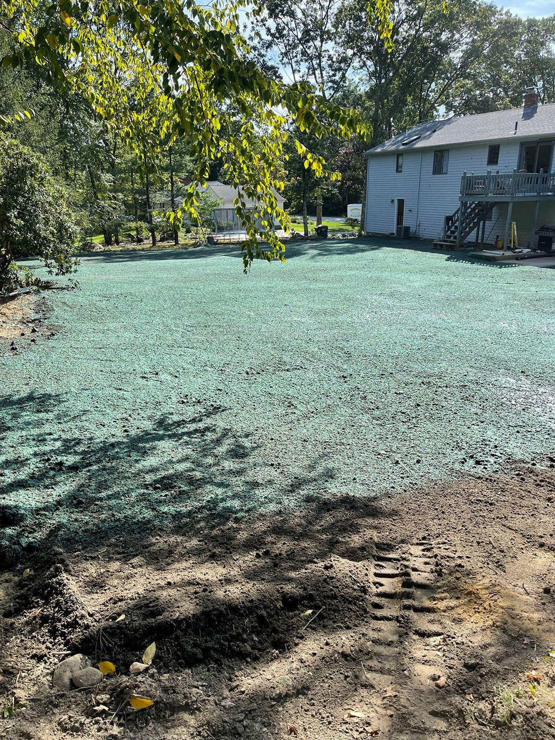 Hydroseeding service
