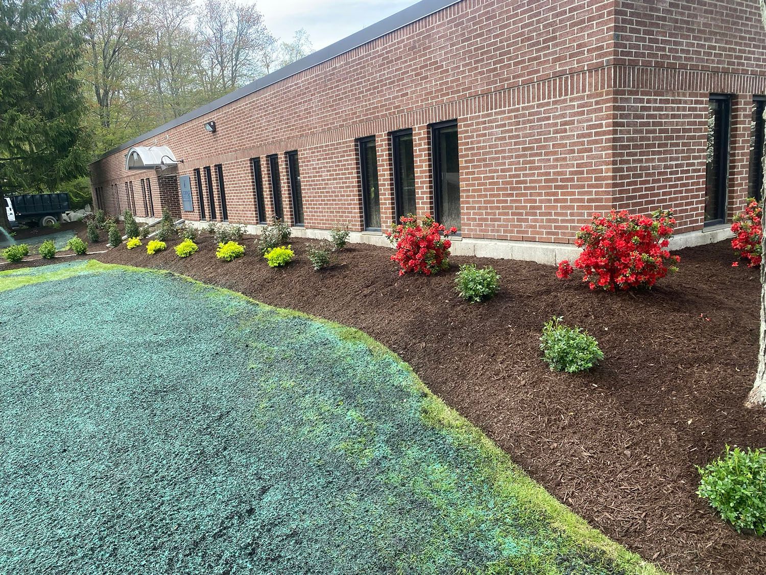 Hydroseeding service