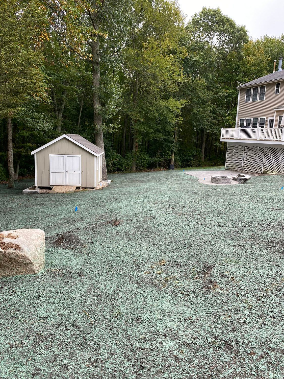 Hydroseeding service