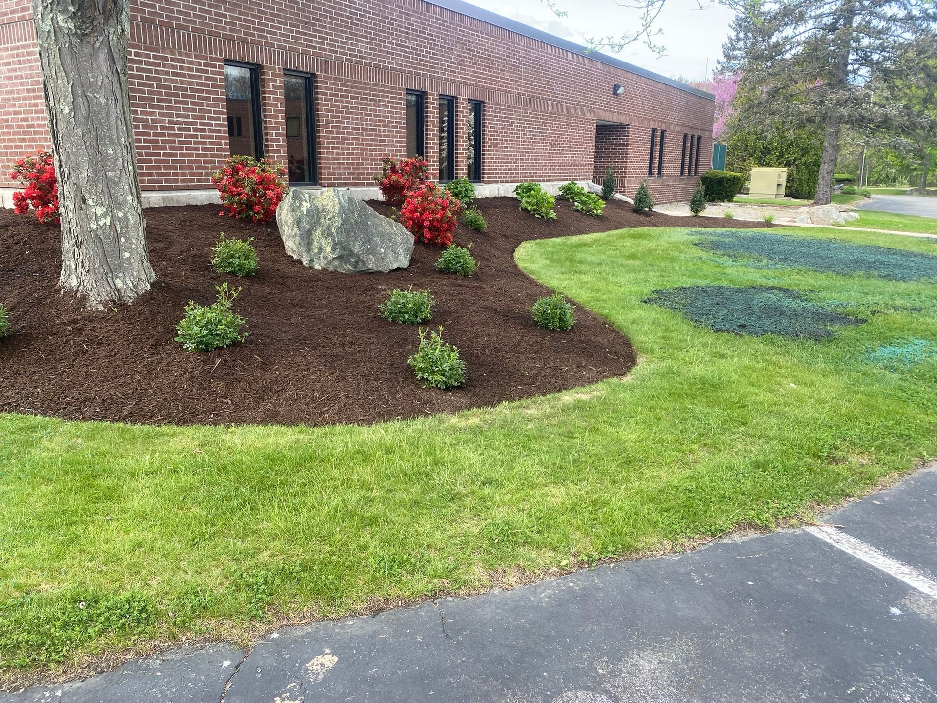 Landscape construction services
