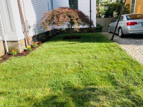 Landscape construction services