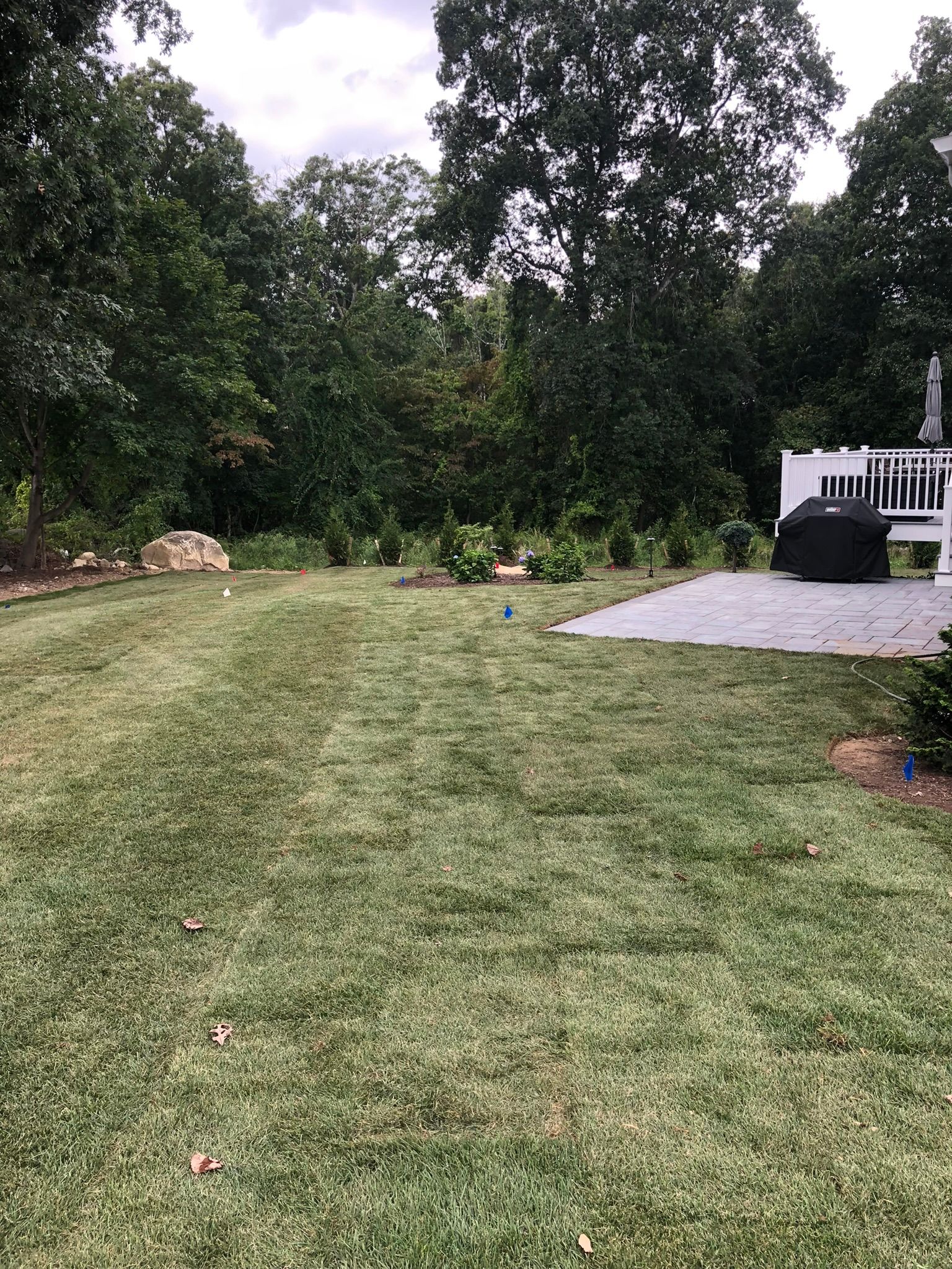 Landscape construction services