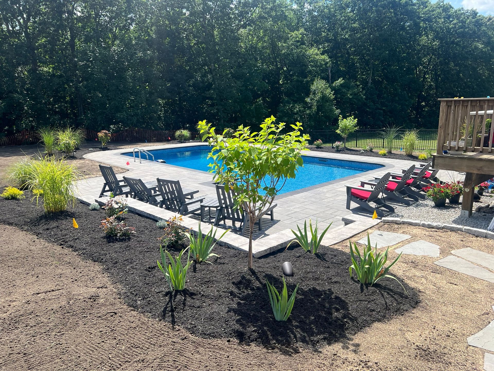 A large swimming pool surrounded by chairs and trees in a backyard.
