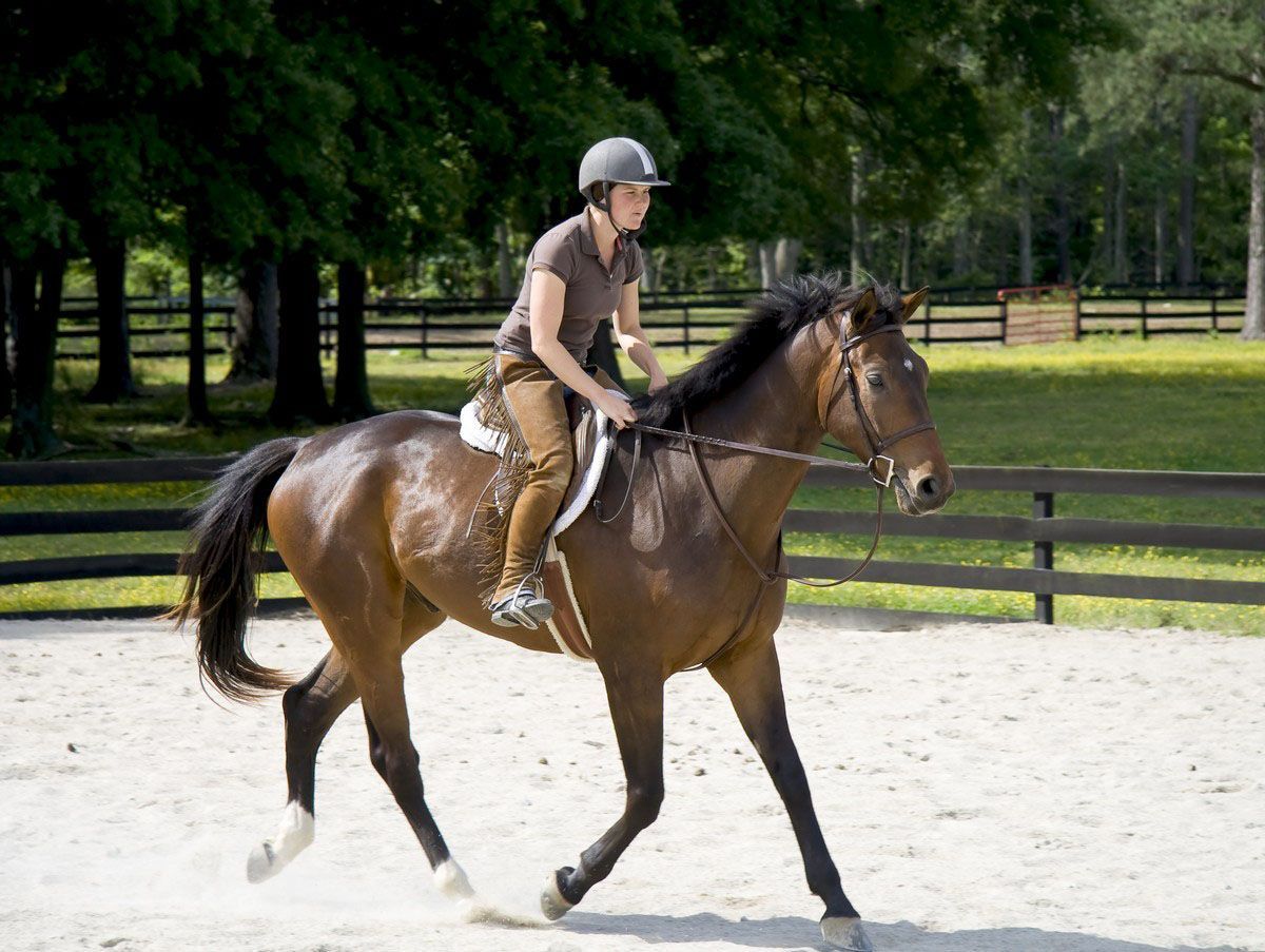 horseback riding instructors