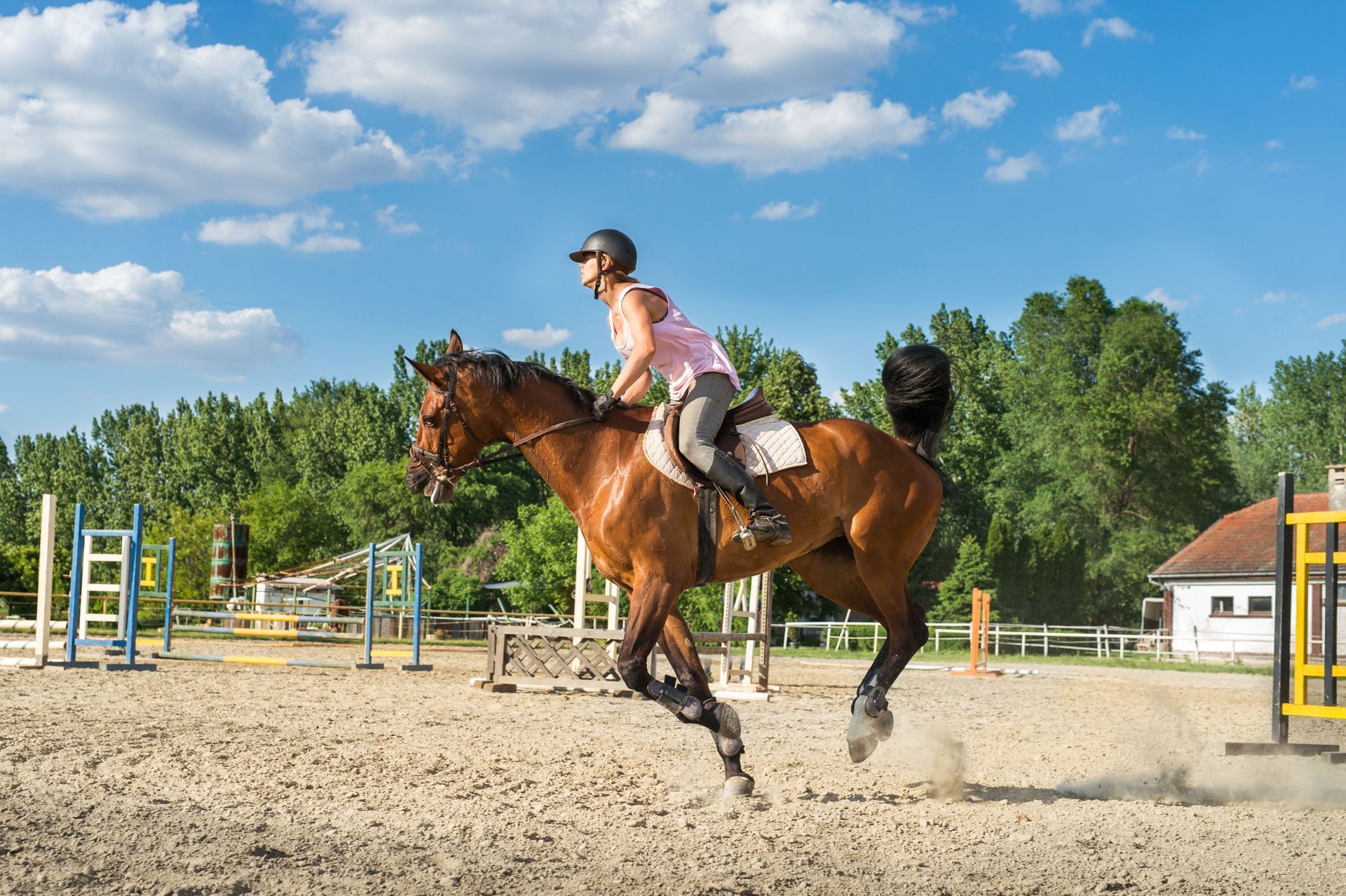 Getting the Most Out of Horse Riding Lessons