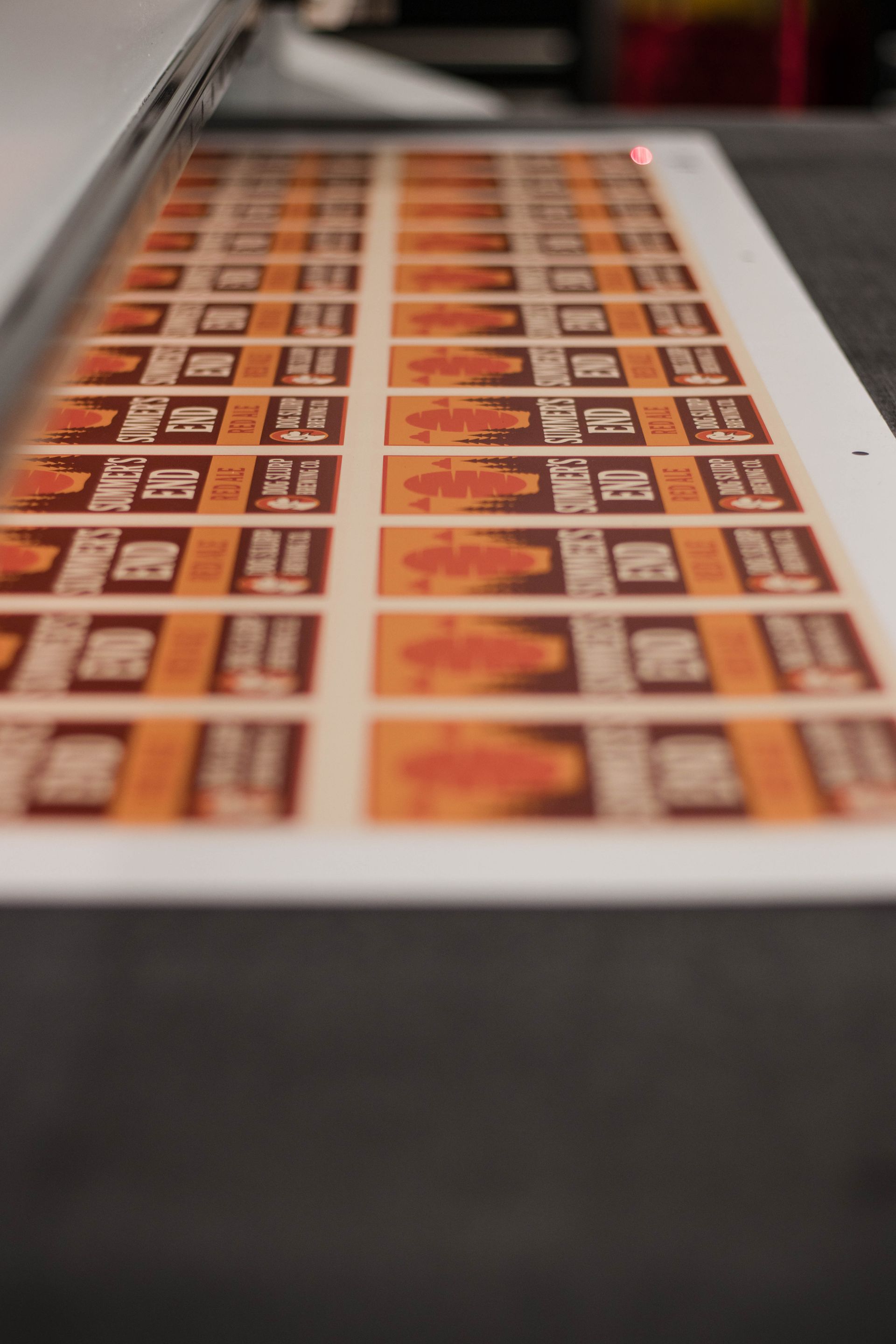 Rows of orange photo prints laid out on a white sheet, viewed in shallow focus.