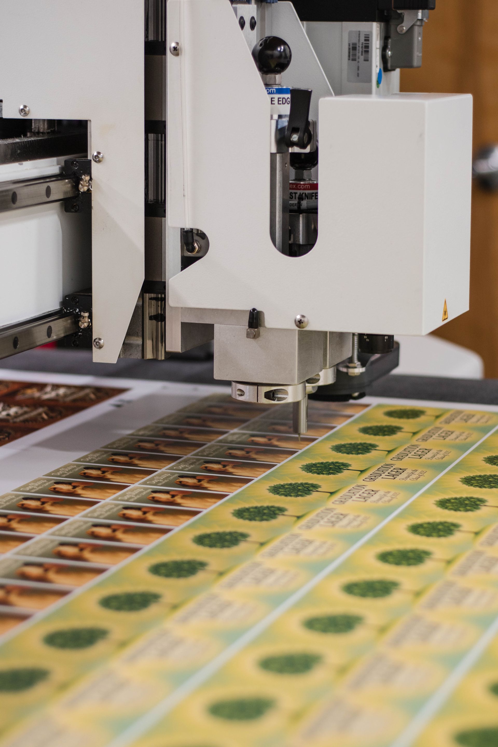 Industrial printer printing colorful labels on a sheet