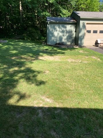 A lush green yard with a garage and a shed in the background.