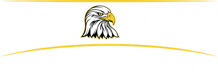 Iron Eagle Enterprises LLC - Logo