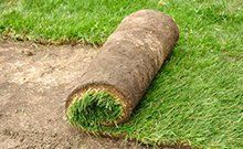 Rolled grass