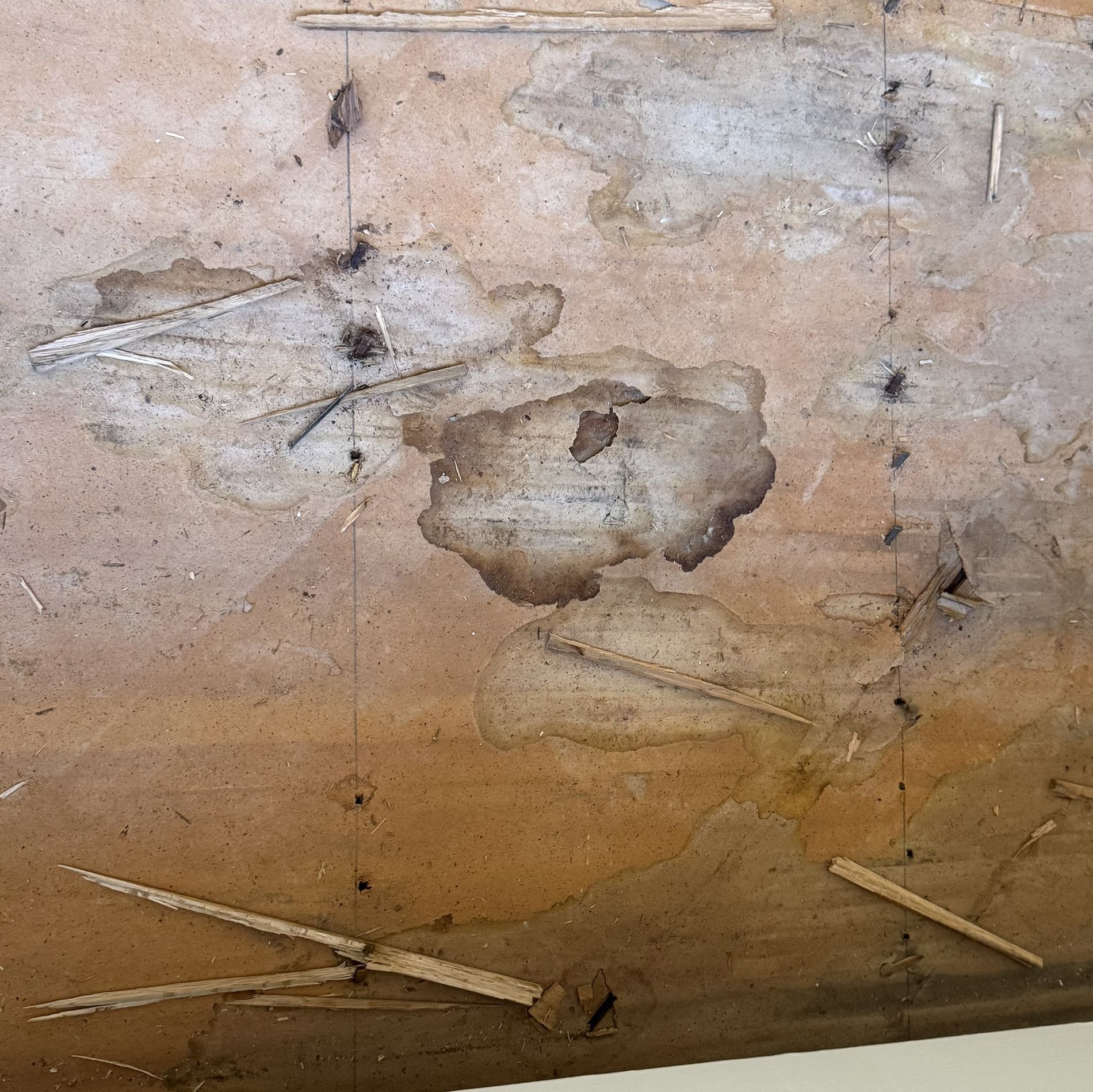 Close-up of a weathered tan surface with scratches, stains, and a dark blotch in the center.