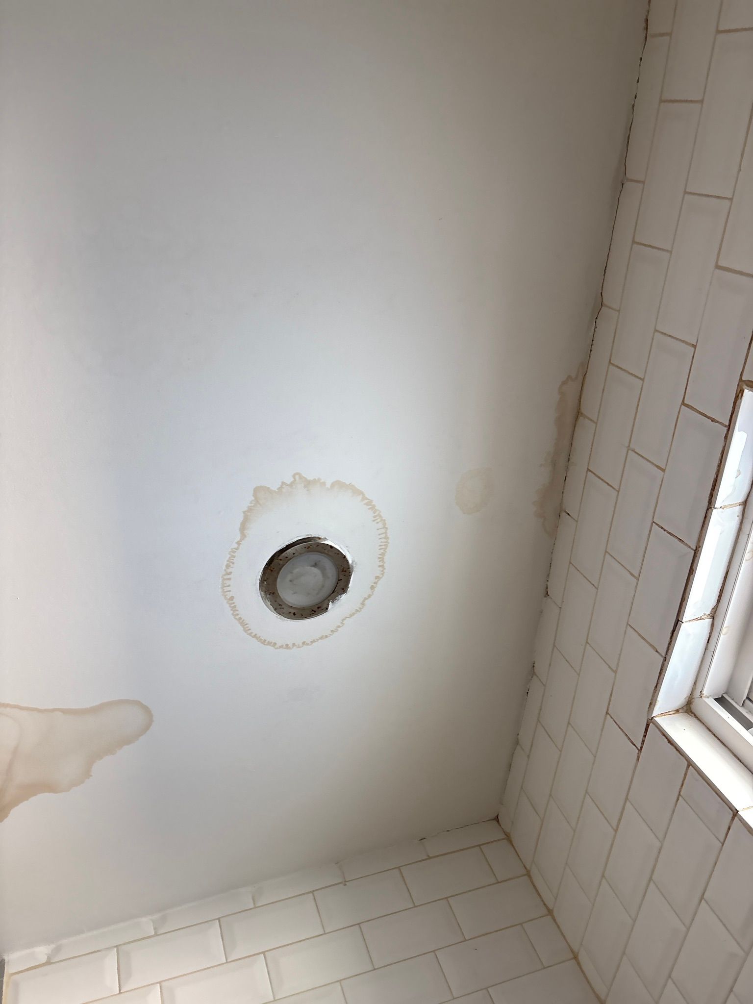 Ceiling corner with a recessed light, water stain, and part of a tiled wall and window.