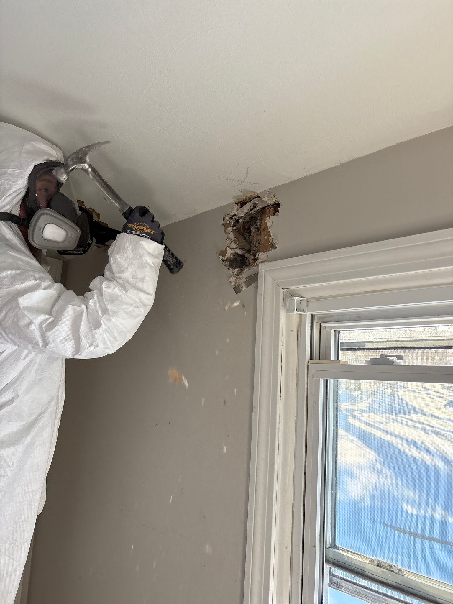 Person in white protective suit removing damaged drywall and insulation near a window ceiling corner