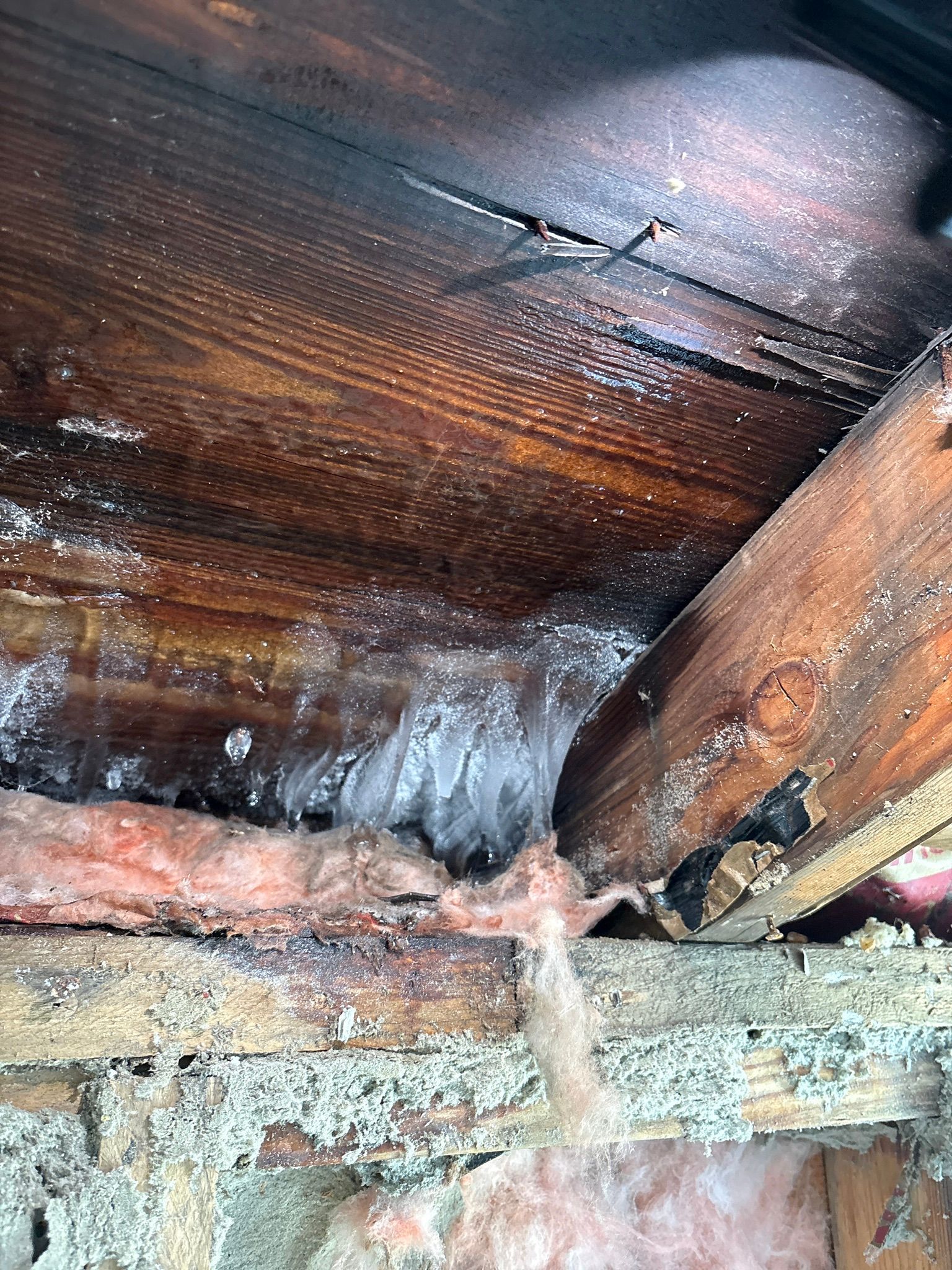 Water damage and mold on a wooden ceiling with dark stains and peeling material.