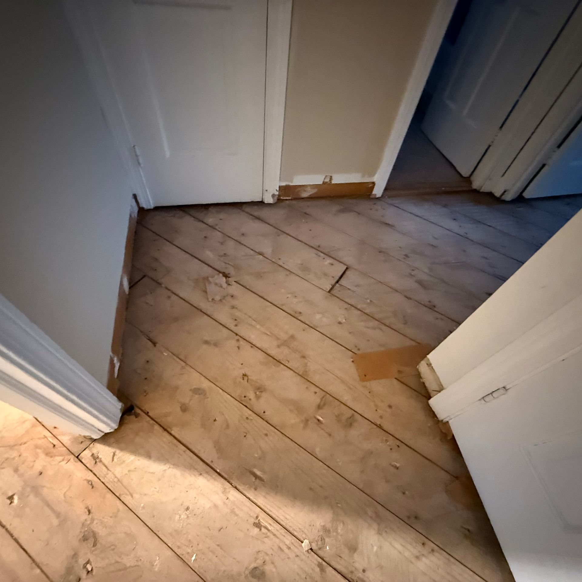 Old wooden floorboards in a hallway with white doors and a patch of cardboard on the floor