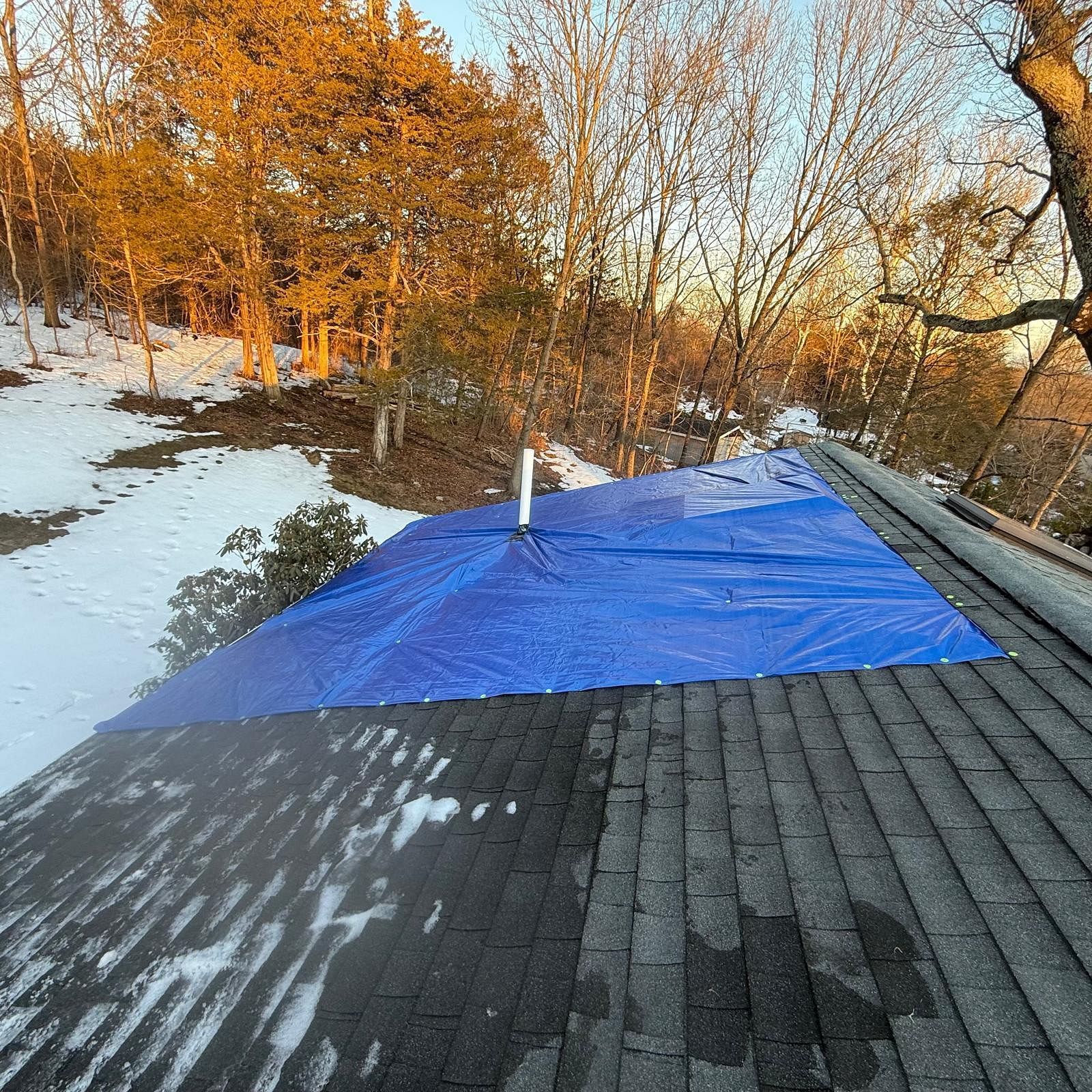 Blue tarp covering part of a shingled roof in a snowy wooded yard during sunset