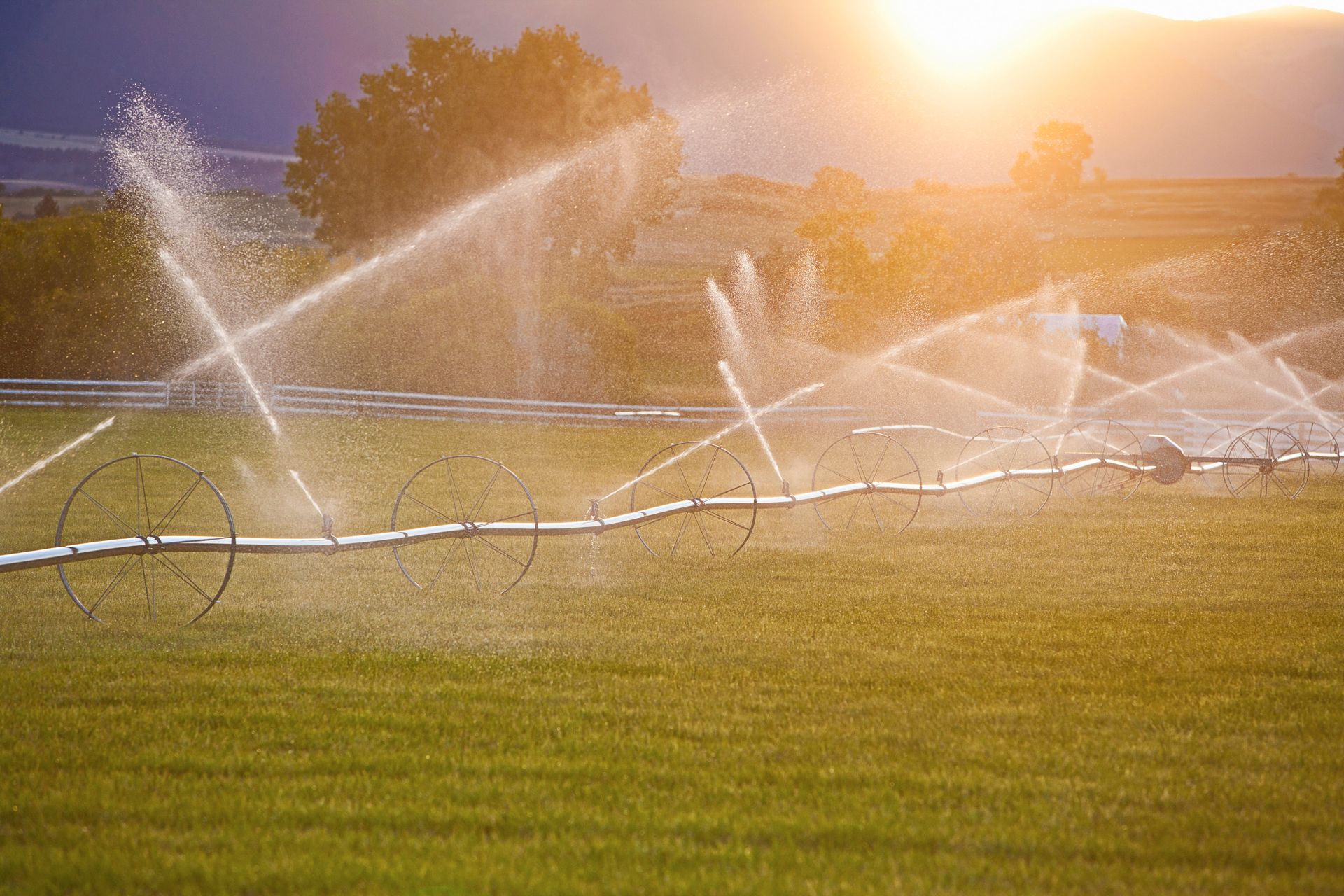 commercial irrigation services