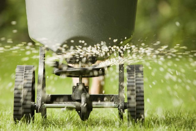 Premium Lawn Care & Maintenance, Inc