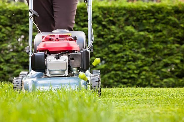 Person mowing a green lawn with a red and gray lawnmower.