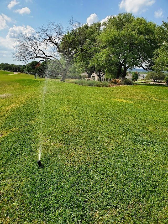 Sprinkler watering green grass on a sunny day, with trees and a blue sky in the background.