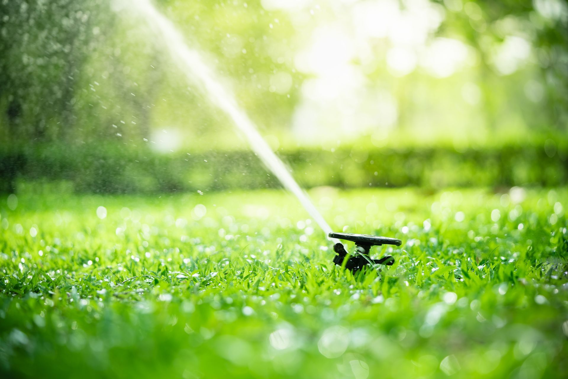 Sprinkler spraying water on green grass in a sunny outdoor setting.