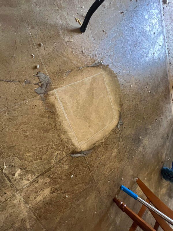 indoor tile cleaning expert service