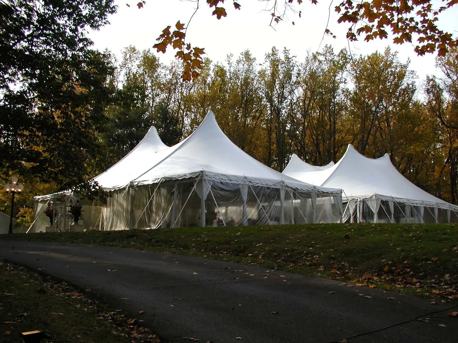 Large white peaked tents stand on a grassy lawn surrounded by autumn trees at the edge of a paved road.