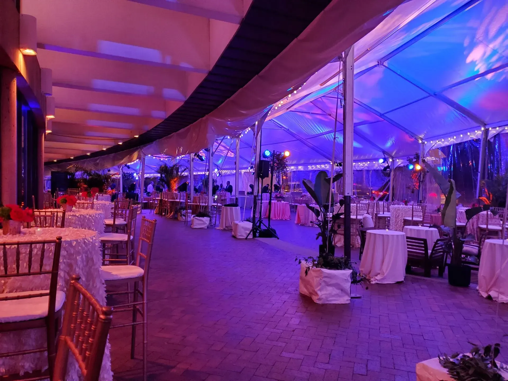 A spacious outdoor tent set for a party, featuring white-clothed tables, chairs, and festive purple and blue lighting.