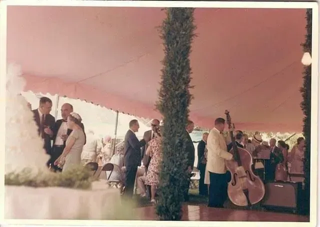 A band plays double bass under a pink-draped tent, with guests mingling at a social gathering.