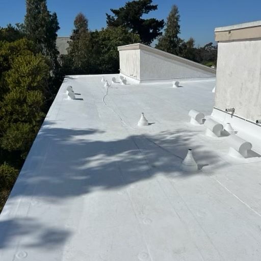 A white roof with trees in the background on a sunny day.