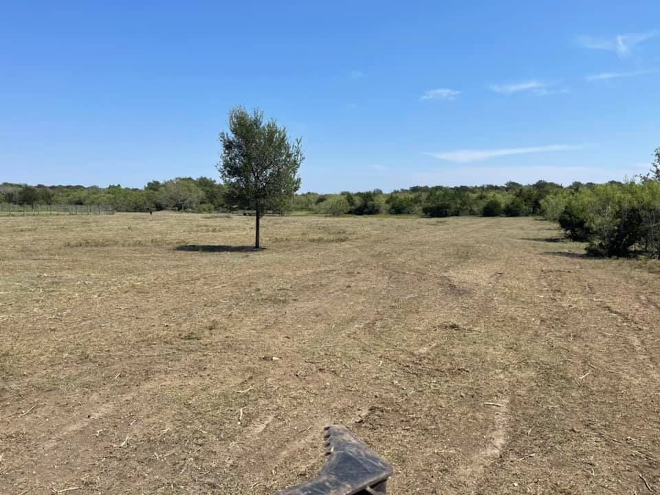 A lone tree stands in a field cleared for mowing under a blue sky, with brush in the background.