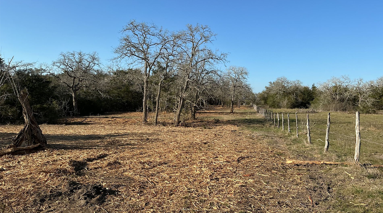 Field of brown leaves, trees with bare branches, wooden fence, and clear blue sky.