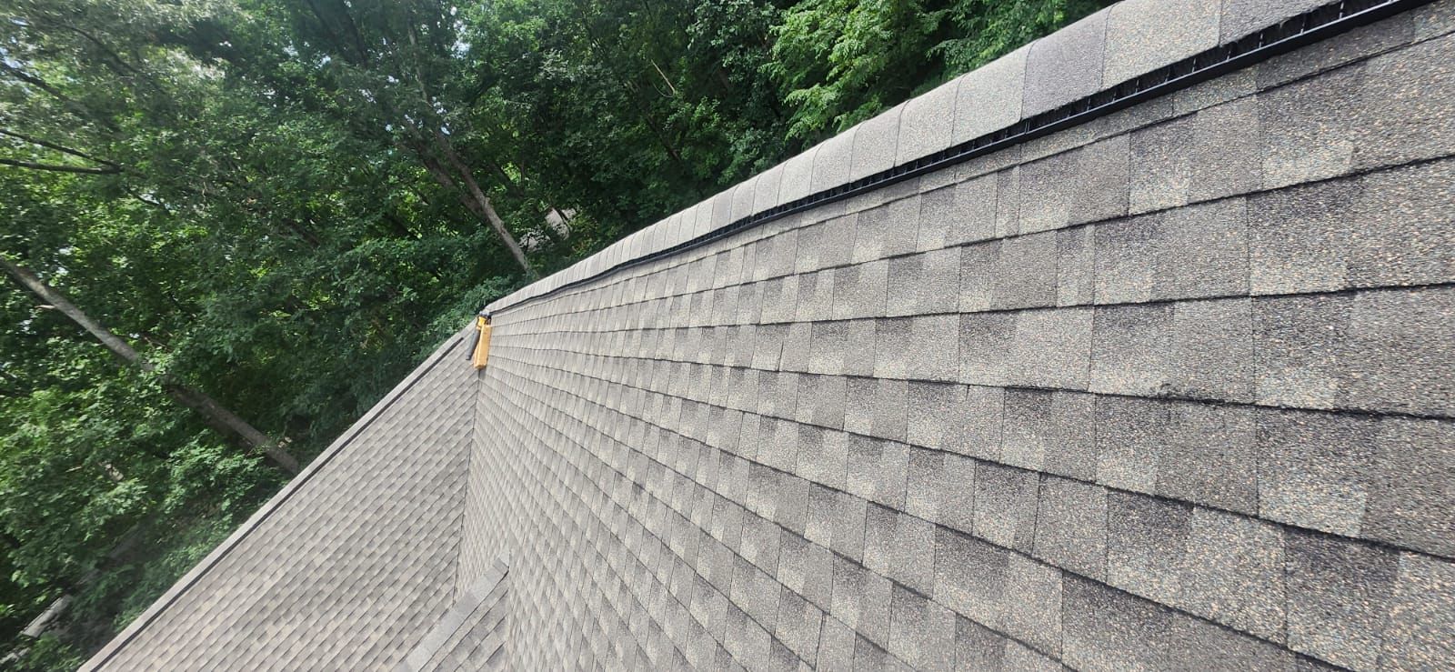 Roof covered in gray shingles with green foliage in the background.