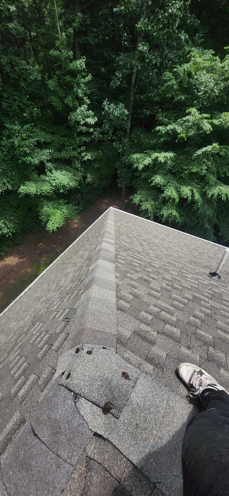 A person's foot on a weathered, gray shingled roof with trees in the background.