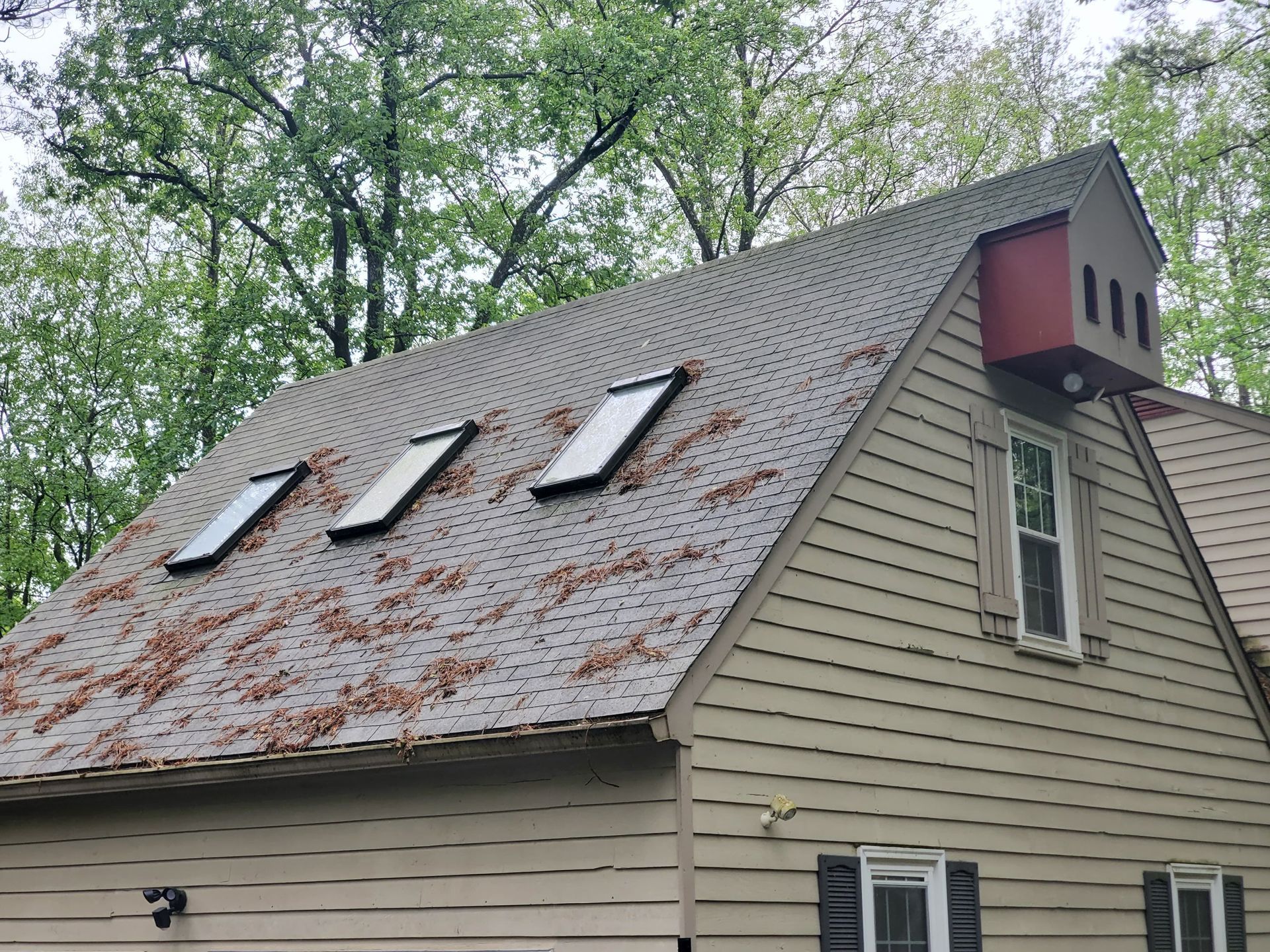 Tan house with a shingled roof, three skylights, and fallen leaves.