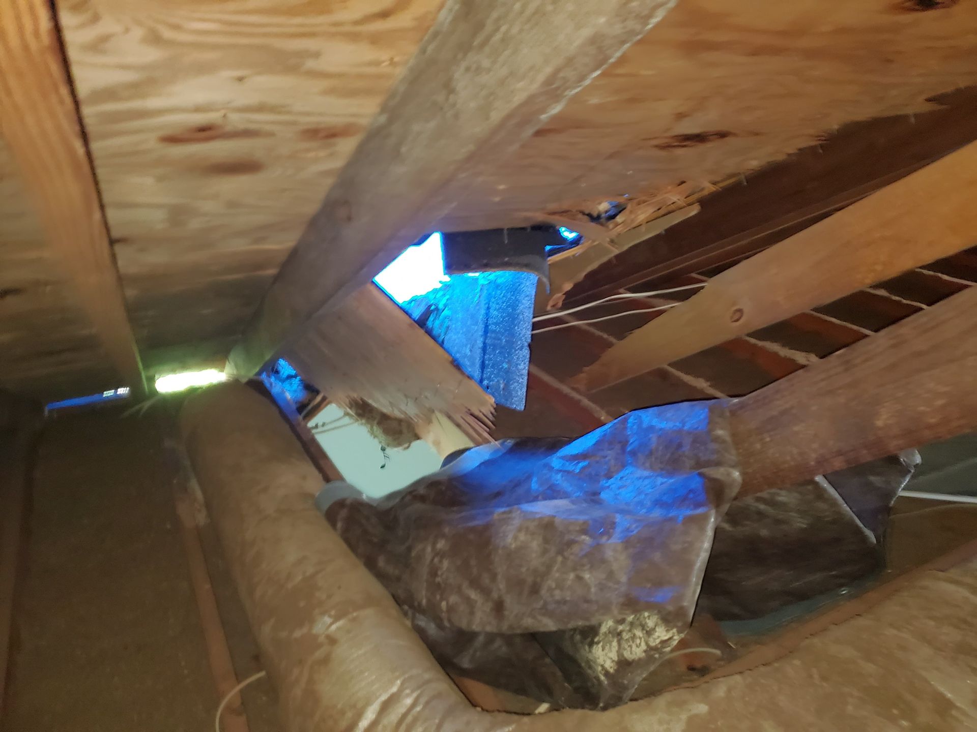 View from inside an attic showing wooden beams, insulation, and a hole with visible light.