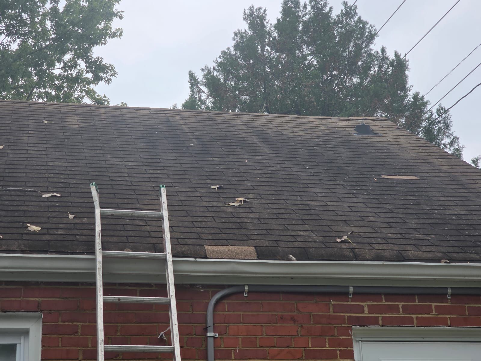 Ladder leaning against a weathered asphalt shingle roof on a brick building, overcast day.