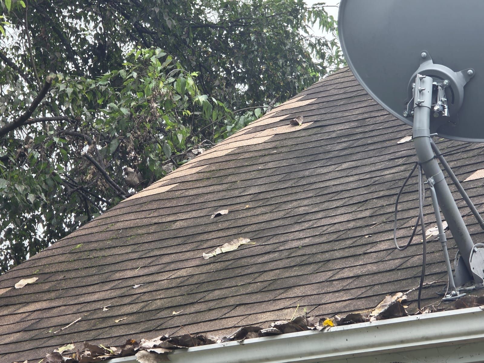 Damaged asphalt shingle roof with missing pieces; satellite dish attached.