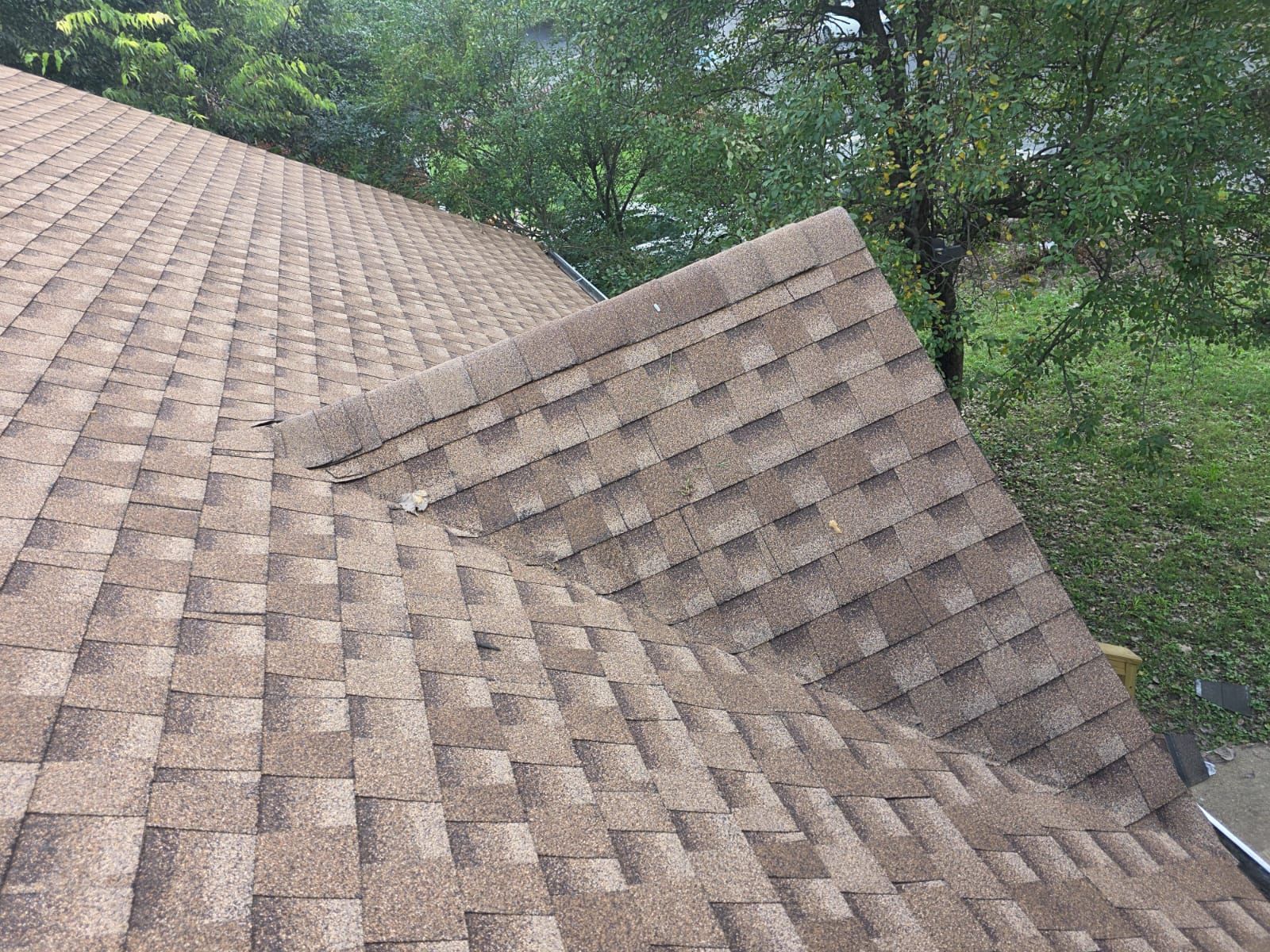 Brown asphalt shingle roof with a ridge, viewed from above, with green trees in the background.